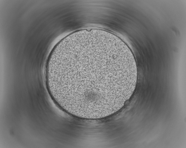 X0000111221003200908131057