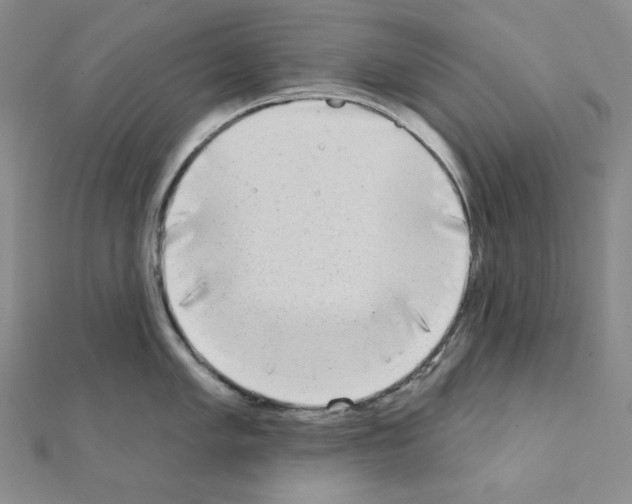 X0000111221005200908131057