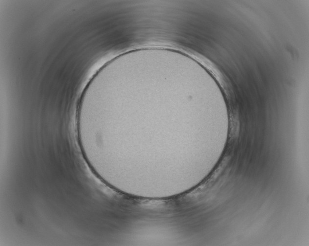 X0000111221006200908131057