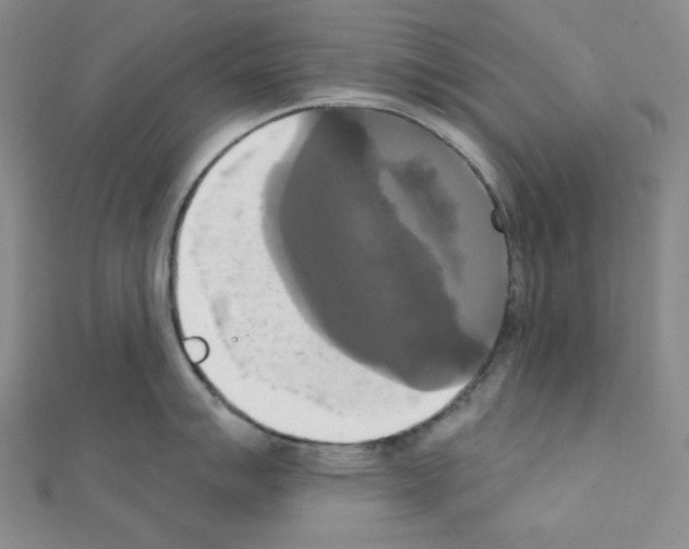 X0000111221007200908131057