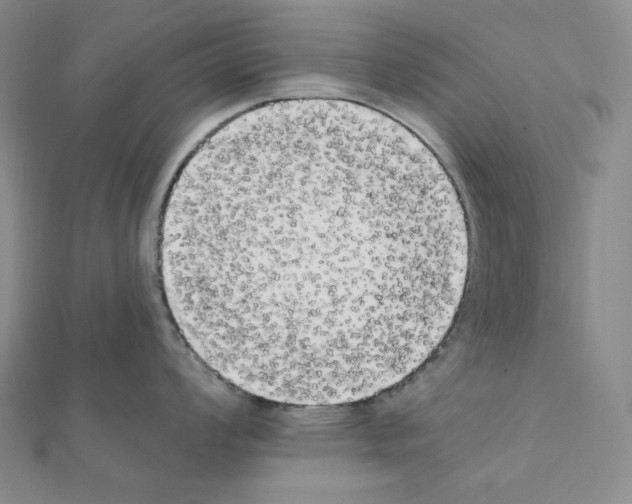 X0000111221008200908131057