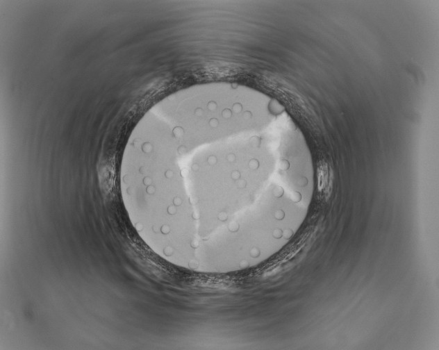 X0000111221011200908131056