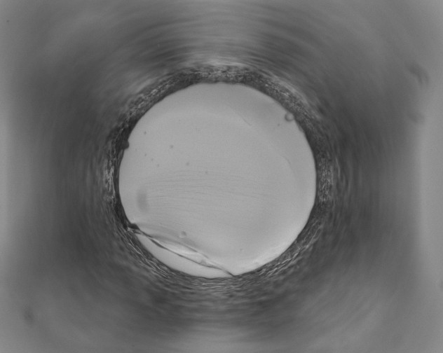 X0000111221013200908131056