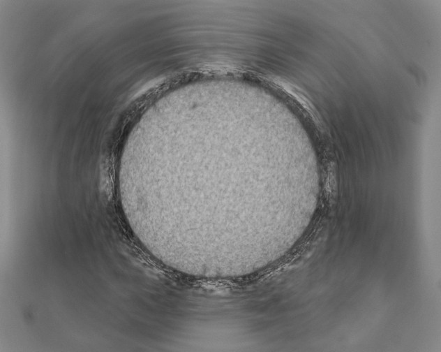 X0000111221015200908131056