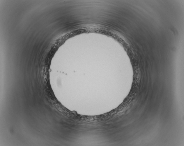 X0000111221016200908131056