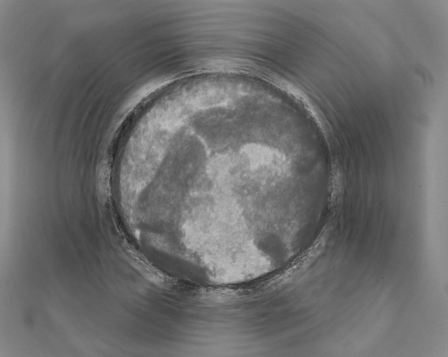 X0000111221019200908131056