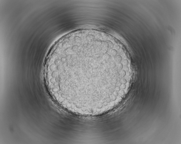 X0000111221020200908131056
