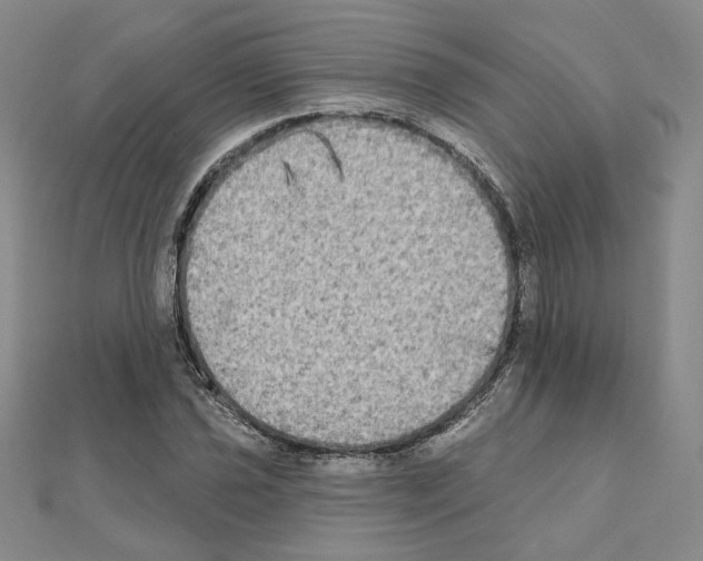 X0000111221021200908131056