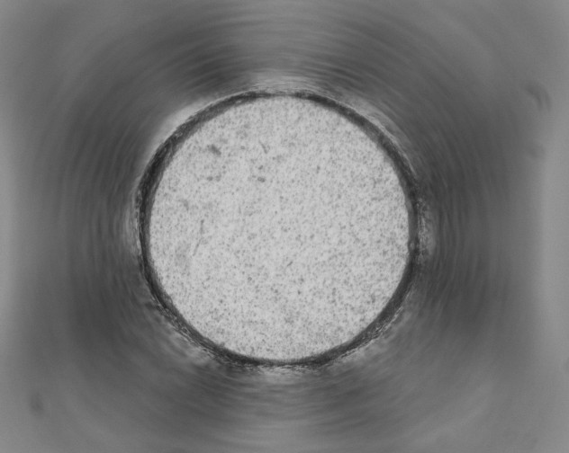 X0000111221022200908131056