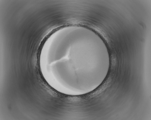 X0000111221023200908131056