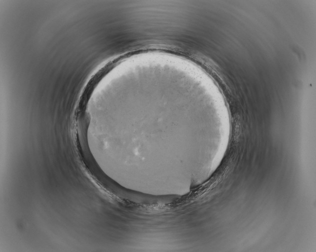 X0000111221024200908131056