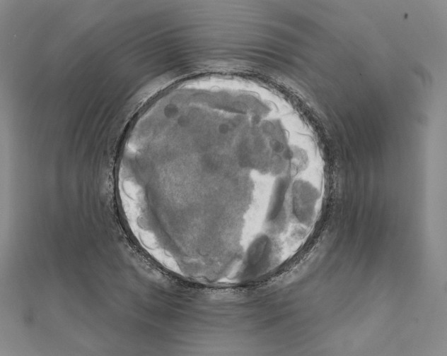 X0000111221025200908131056