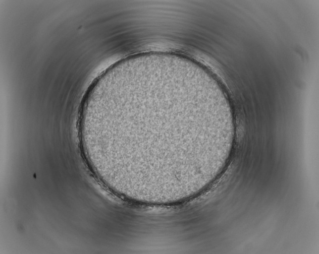 X0000111221026200908131056