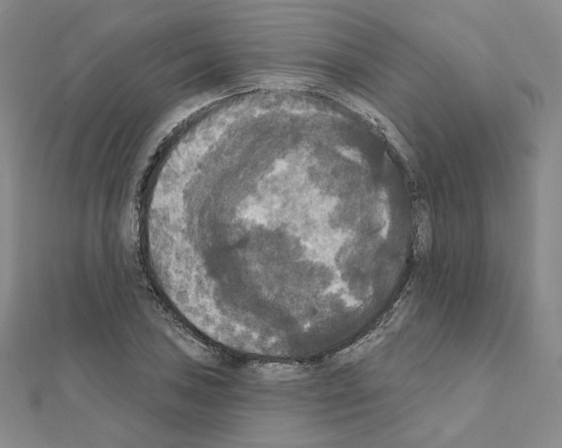 X0000111221027200908131056