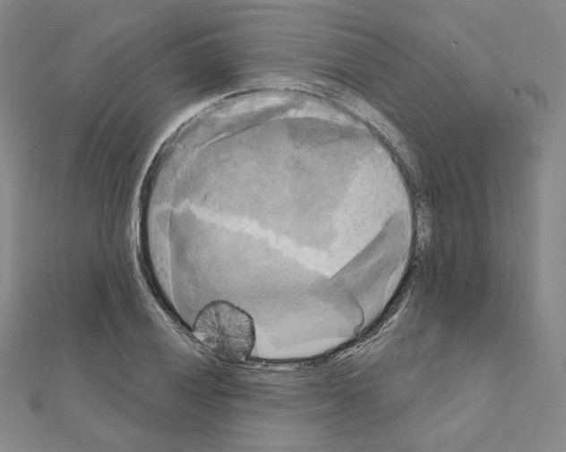 X0000111221028200908131056