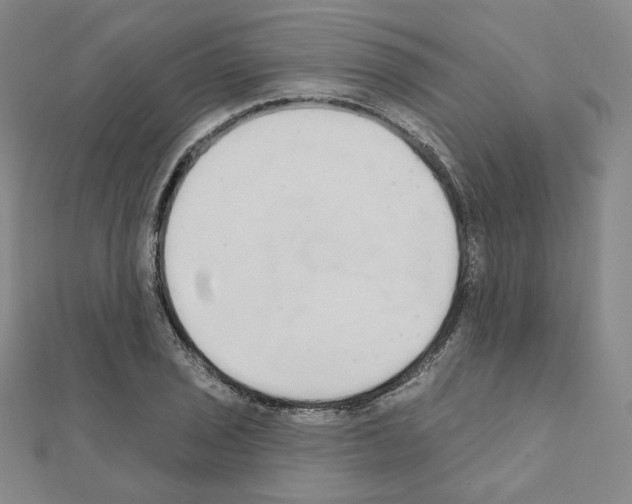 X0000111221029200908131056
