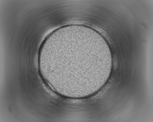 X0000111221030200908131056