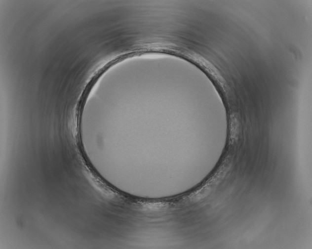 X0000111221031200908131056