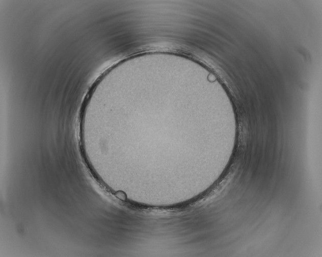 X0000111221034200908131056