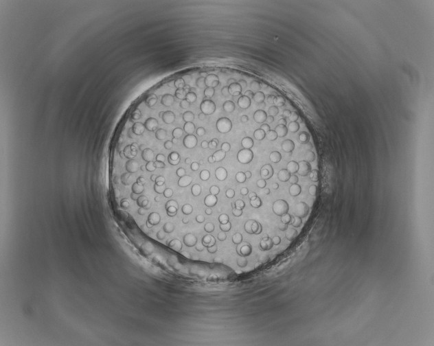 X0000111221036200908131056