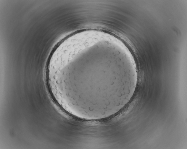 X0000111221037200908131056