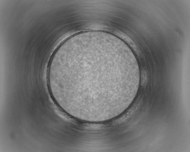 X0000111221039200908131056