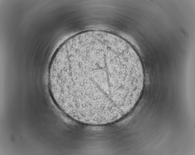 X0000111221040200908131056