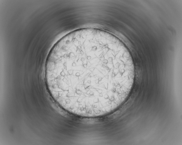 X0000111221044200908131056