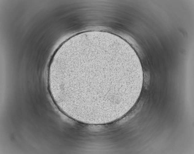 X0000111221046200908131056