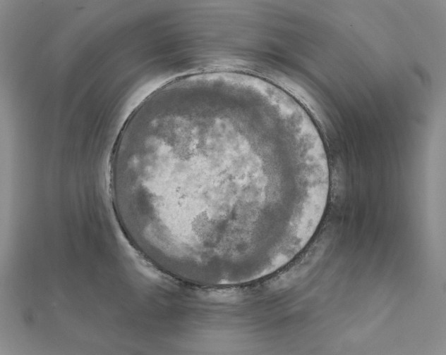 X0000111221047200908131056