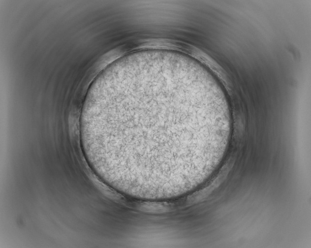 X0000111221049200908131057
