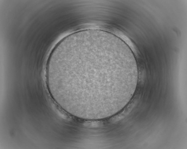 X0000111221051200908131057