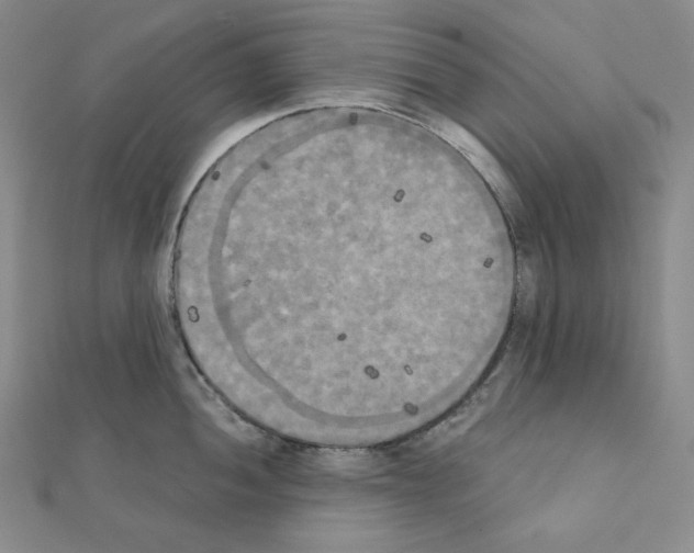 X0000111221052200908131057