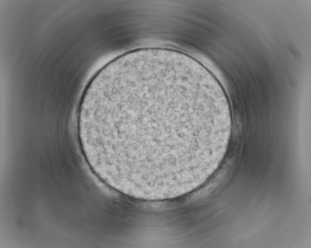 X0000111221053200908131057