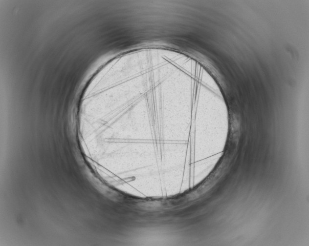 X0000111221054200908131057