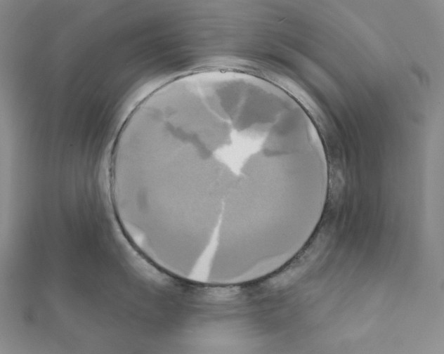 X0000111221055200908131057