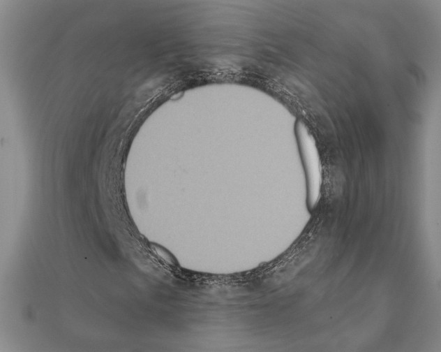 X0000111221057200908131056