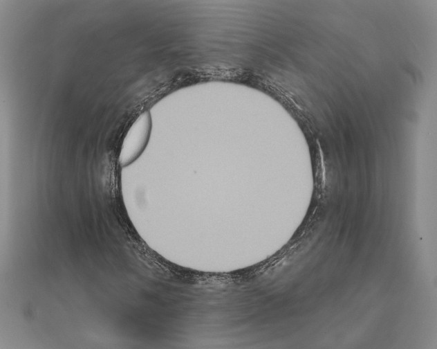 X0000111221058200908131056