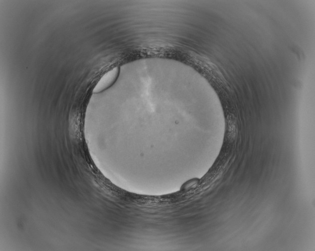 X0000111221060200908131056