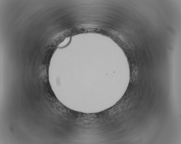 X0000111221062200908131056