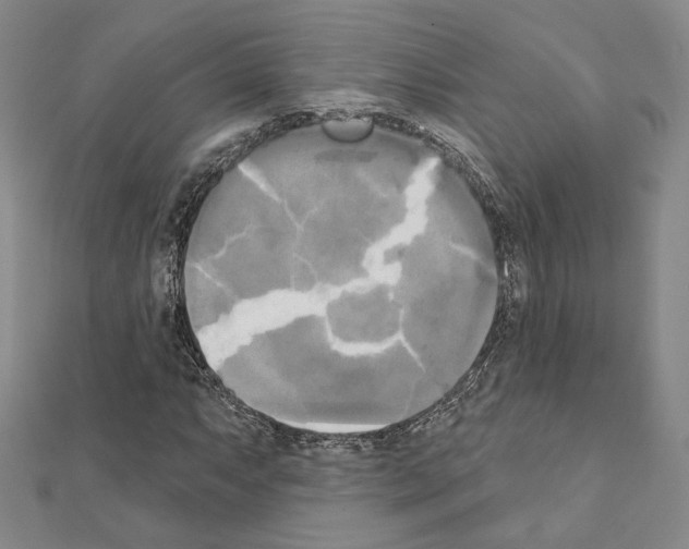 X0000111221063200908131056