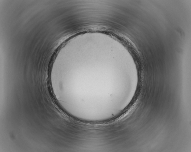 X0000111221065200908131056