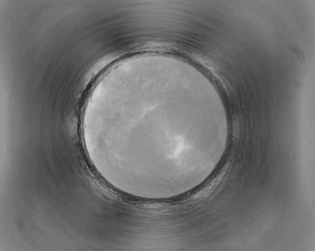 X0000111221066200908131056