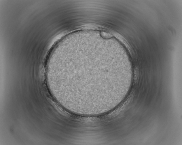 X0000111221067200908131056