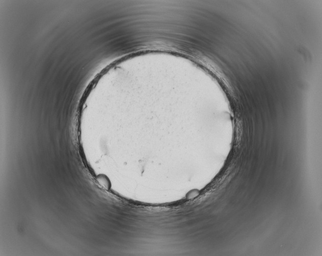 X0000111221068200908131056