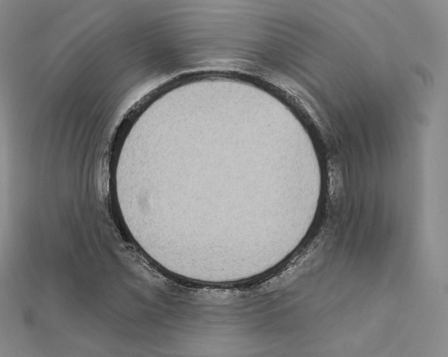 X0000111221069200908131056