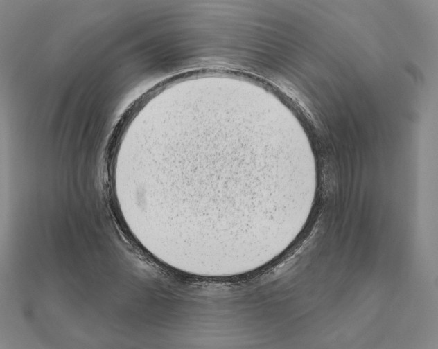 X0000111221070200908131056