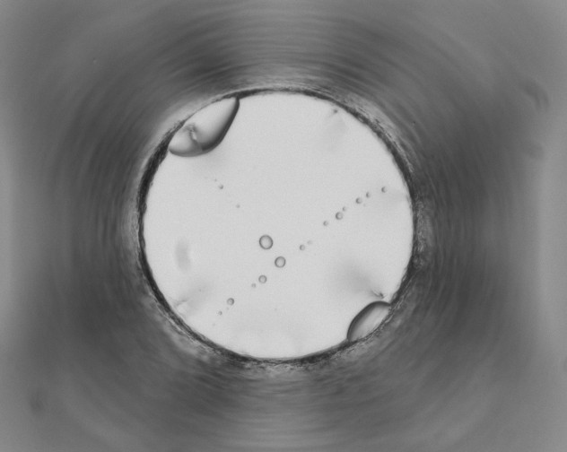 X0000111221072200908131056