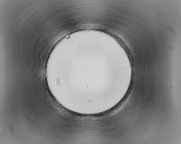 X0000111221073200908131056