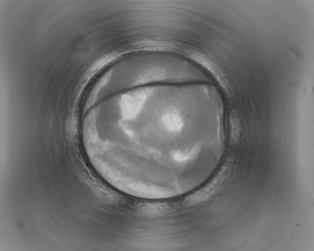 X0000111221074200908131056